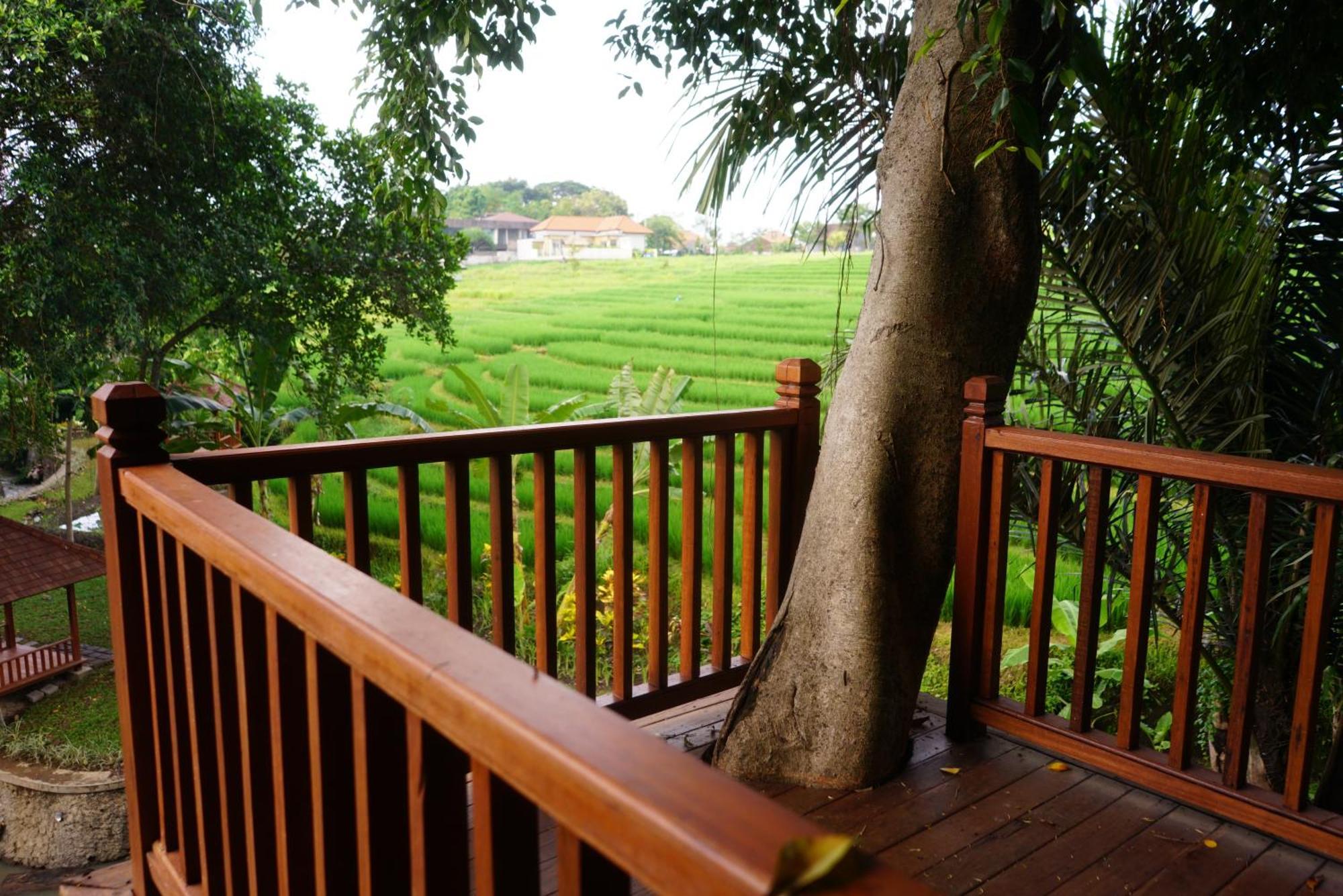 Paripadi Private Villa And Sanctuary 坎古 外观 照片