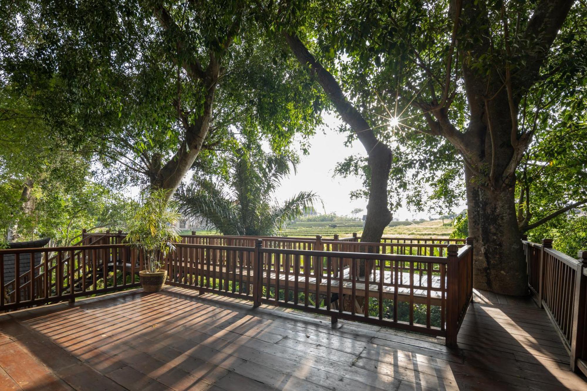 Paripadi Private Villa And Sanctuary 坎古 外观 照片