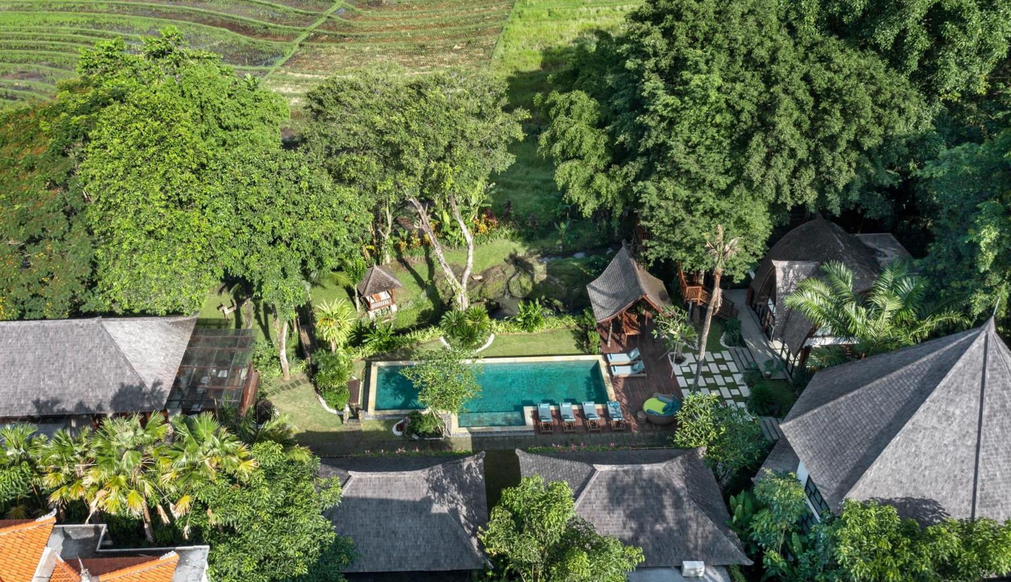 Paripadi Private Villa And Sanctuary 坎古 外观 照片