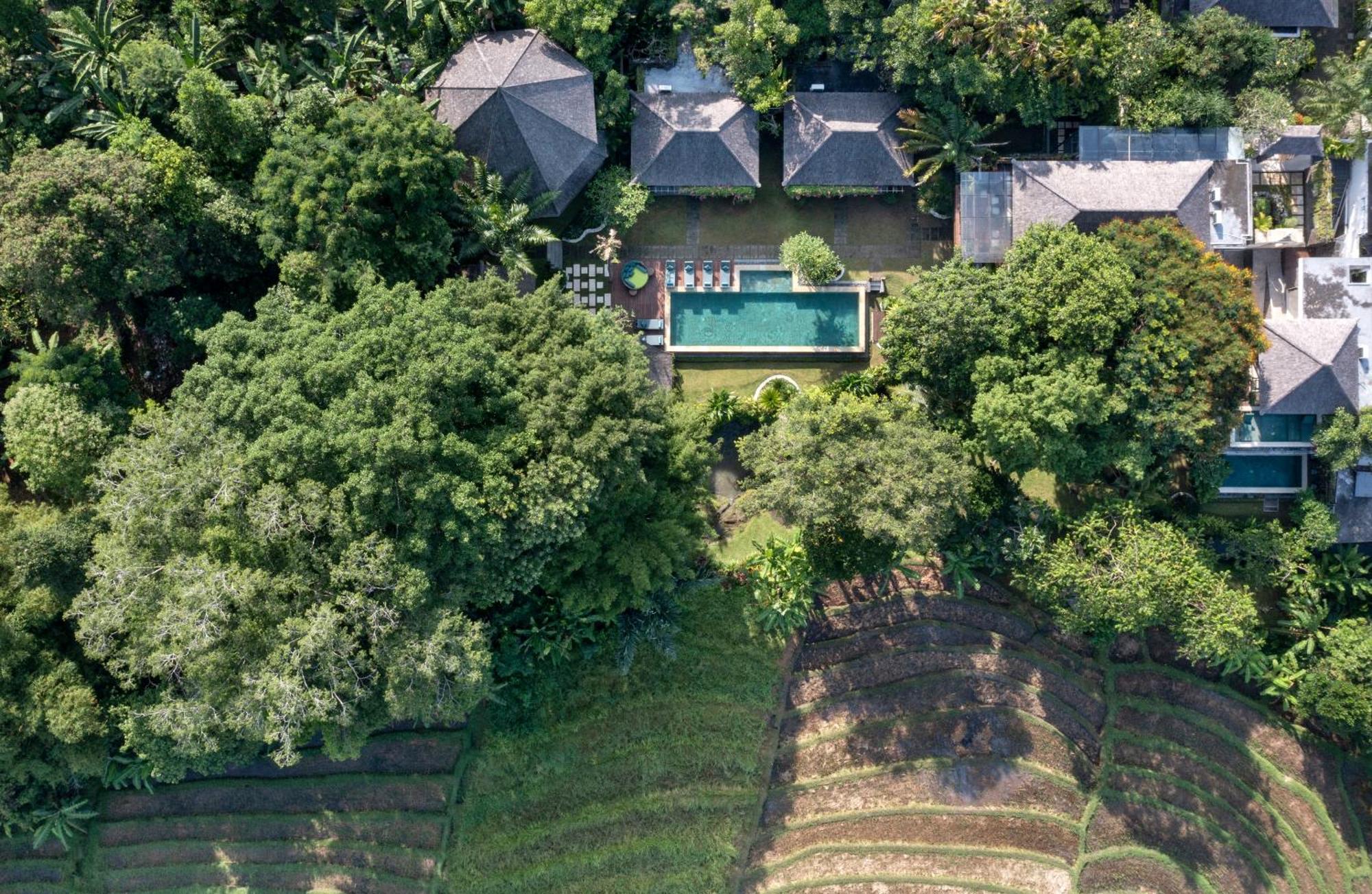 Paripadi Private Villa And Sanctuary 坎古 外观 照片