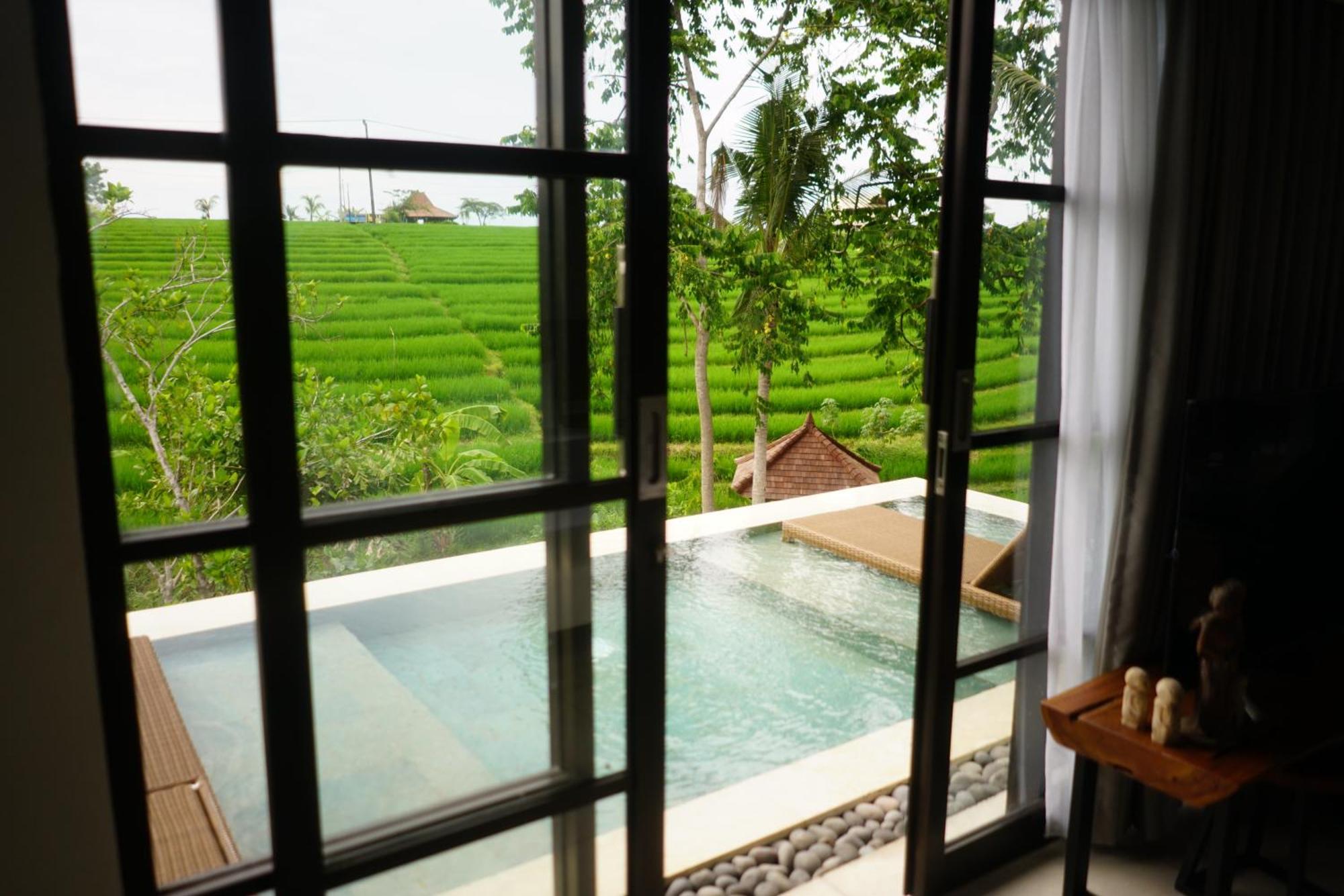 Paripadi Private Villa And Sanctuary 坎古 外观 照片